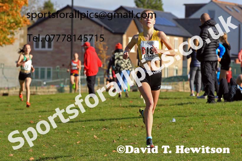 Girls under-15s 2022 Northern Cross Country Relays, Graves Park, Sheffield. Photo: David T. Hewitson/Sports for All Pics